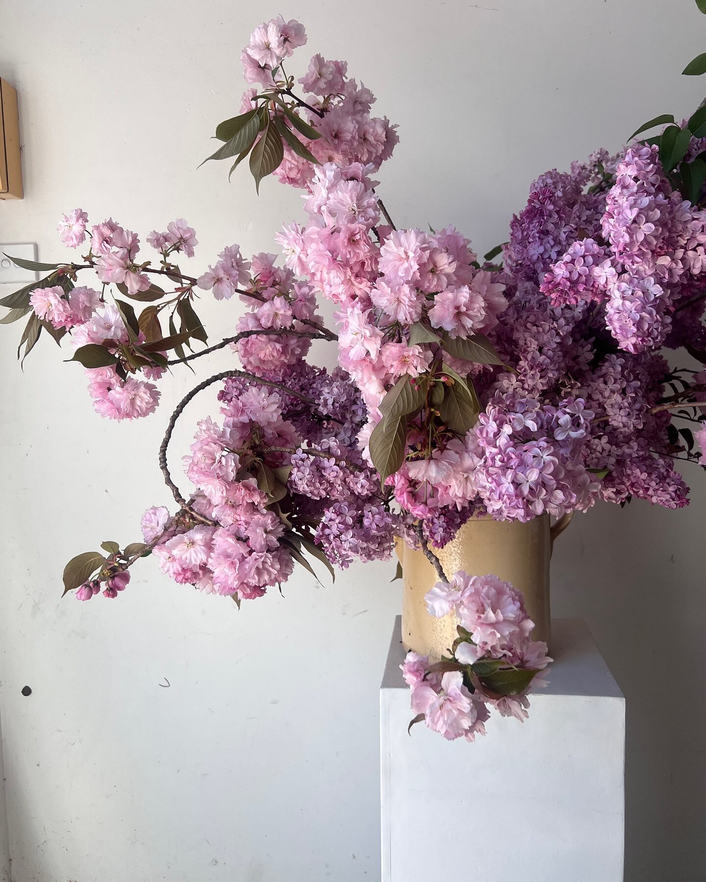 Lilac, cherry blossom &amp; a beautiful old confit pot