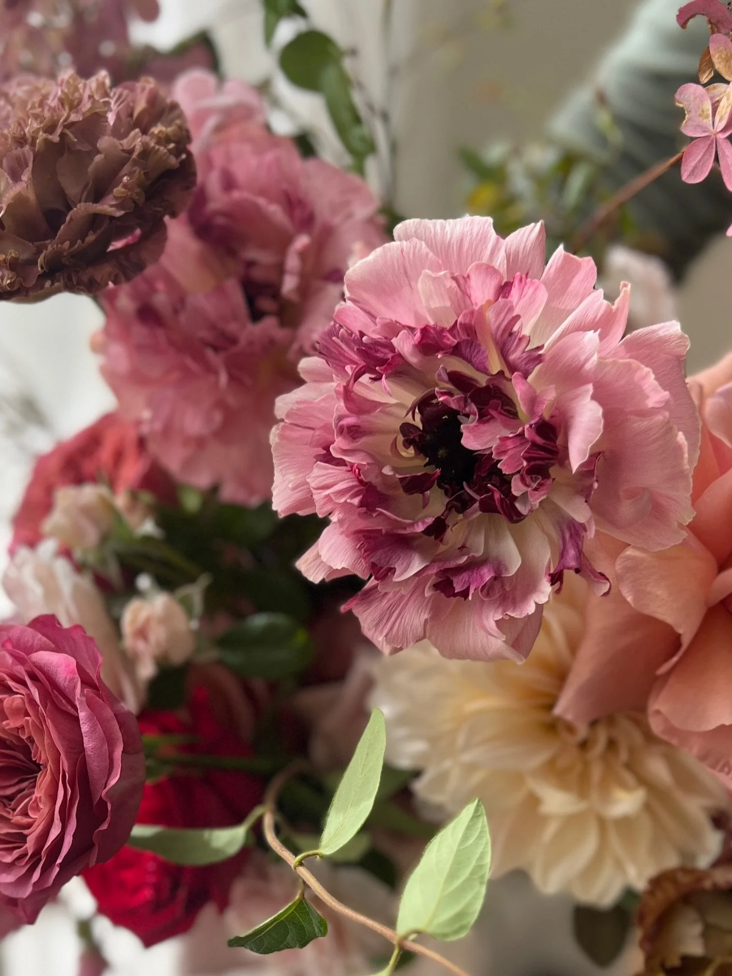 Look at that little face!