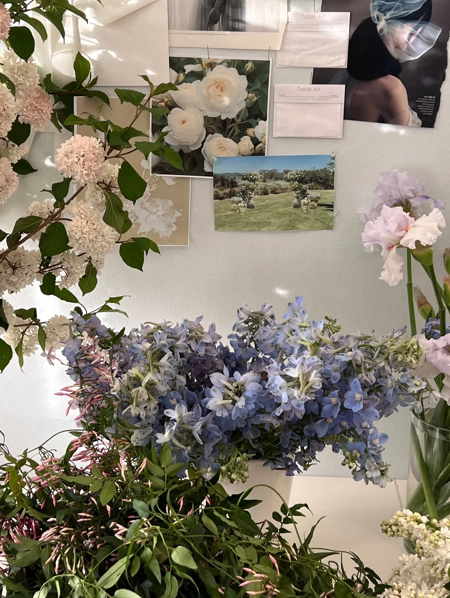 Pretty afternoon light in the studio
