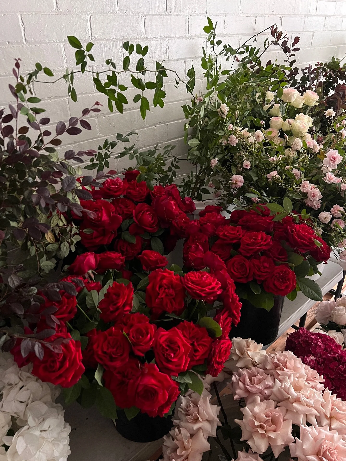 Red palettes aren&rsquo;t going anywhere