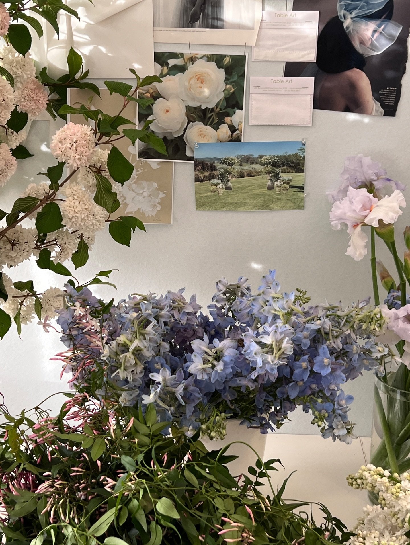 Pretty afternoon light in the studio