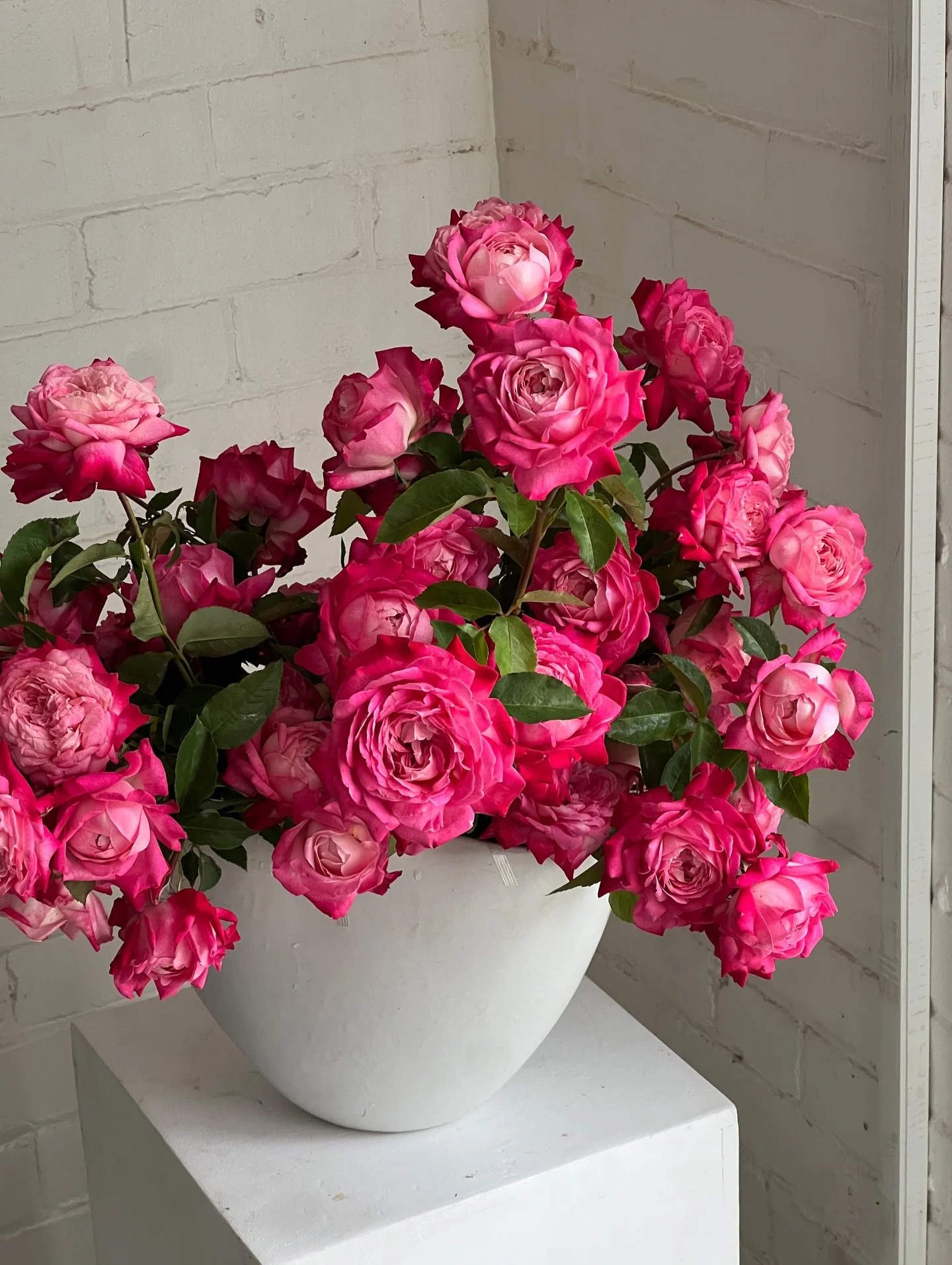 My new favourite local roses in my old favourite vase 💕