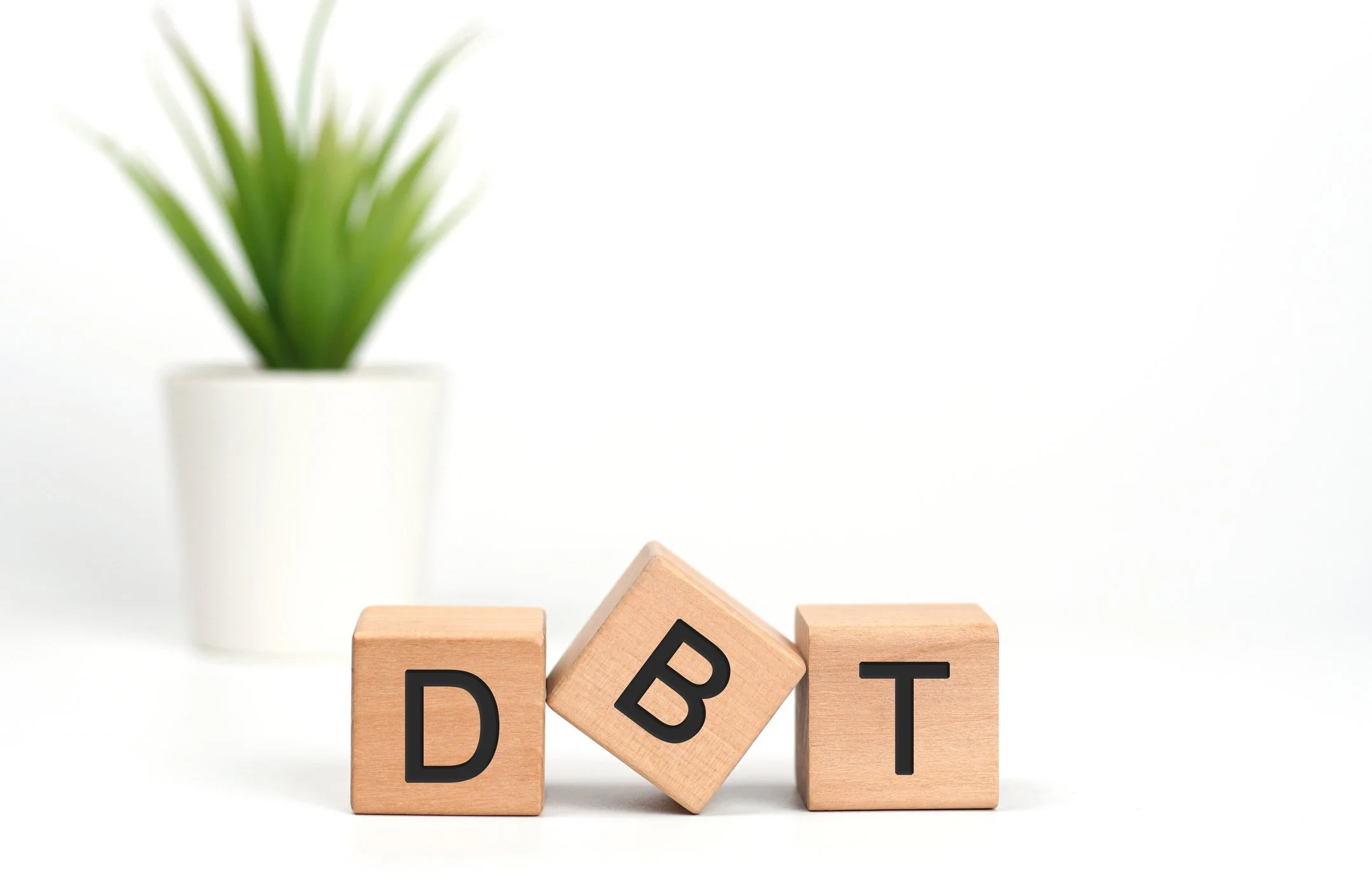 Understanding DBT: Core Skills for Supporting High-Risk Teens