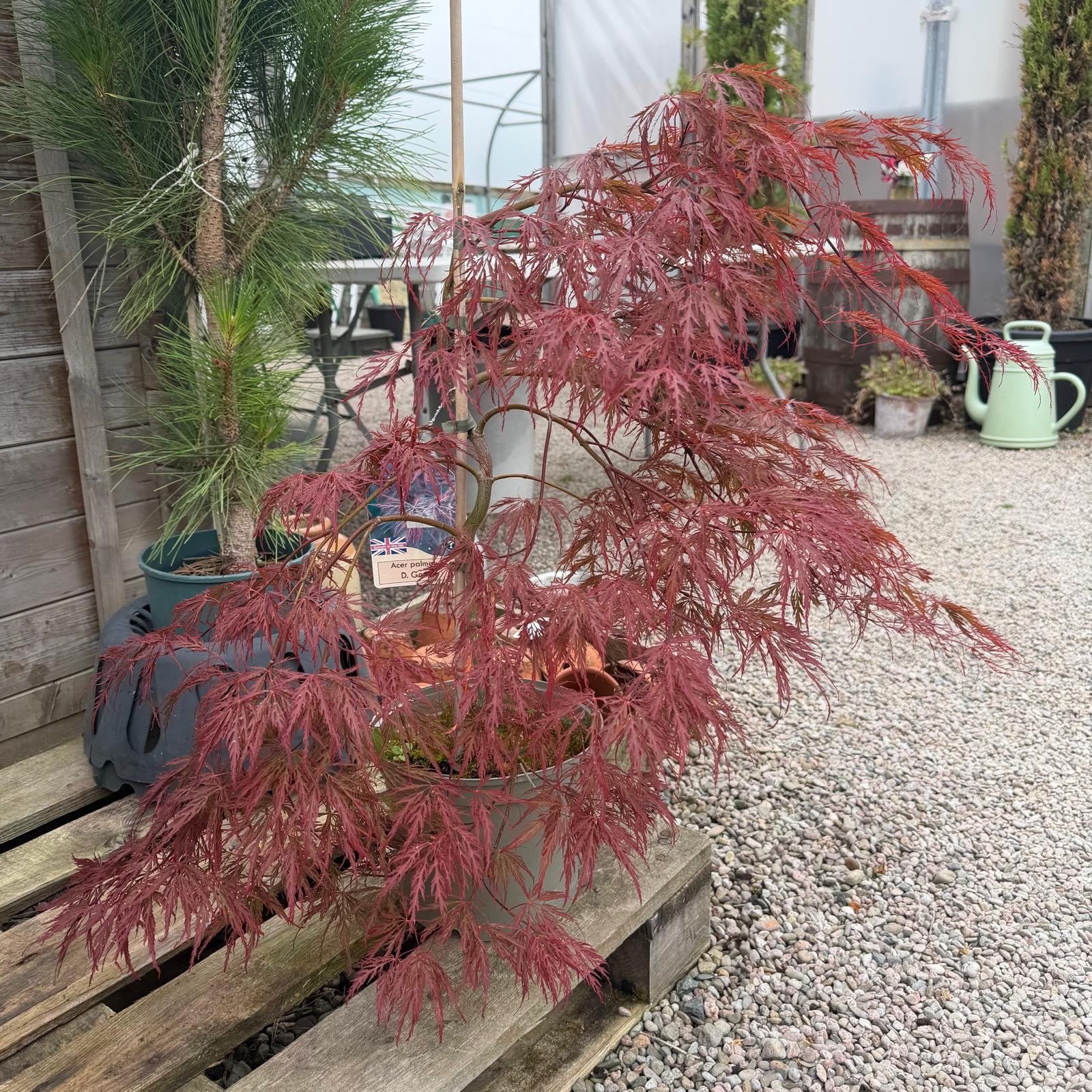 26a11001-ebc1-42be-ae9e-e21082e51722.jpeg