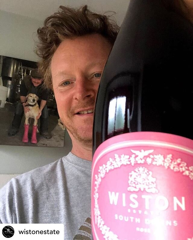 Posted @withregram &bull; @wistonestate Next week looks set to be a scorcher, which definitely calls for a glass of Ros&eacute;! With that in mind, join our winemaker @ermosug live tonight for a virtual tasting of our vintage Ros&eacute; 2014 at 7pm 