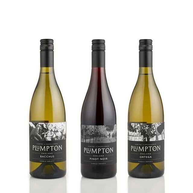 Celebrate @englishwineweek with Plumpton&rsquo;s case of single varietals at a reduced price of &pound;90.00. As well as being lovely on their own, these wines are great paired with fish &amp; chicken dishes, pasta, pies &amp; soft cheeses. 
Our webs