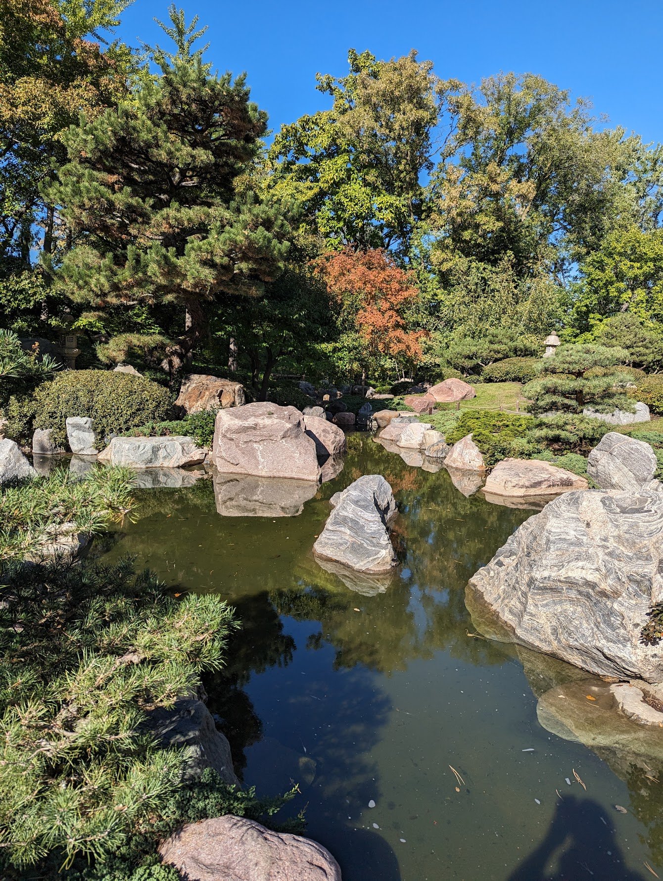 Japanese Garden 1.jpeg