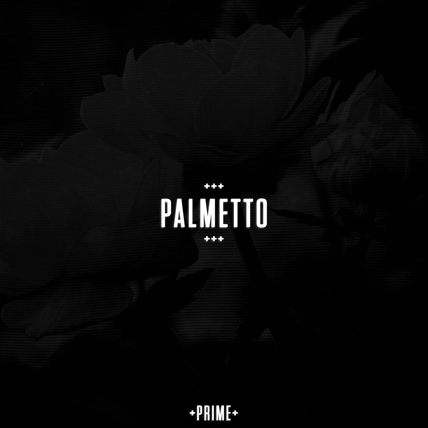 PALMETTO.jpg