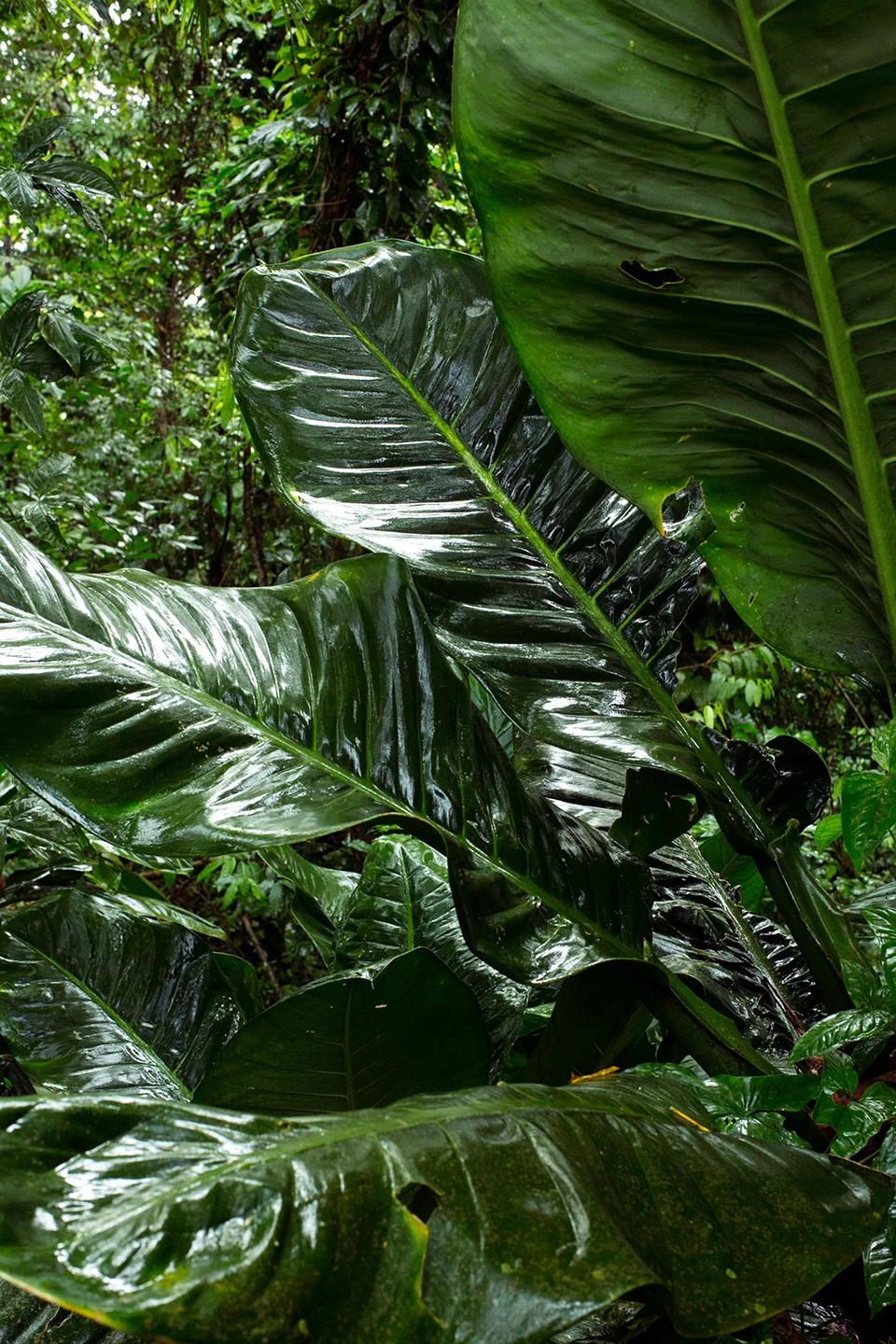11_E0C9018.jpg