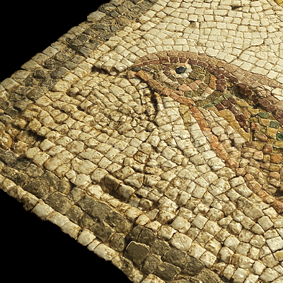 ELLS_WAKE_3DSCAN_ROMAN_MOSAIC_FLOOR_01.png