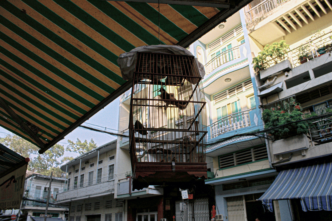ELLS_WAKE_STREETS_AND_MARKETS_THAILAND_VIETNAM_ (15).png