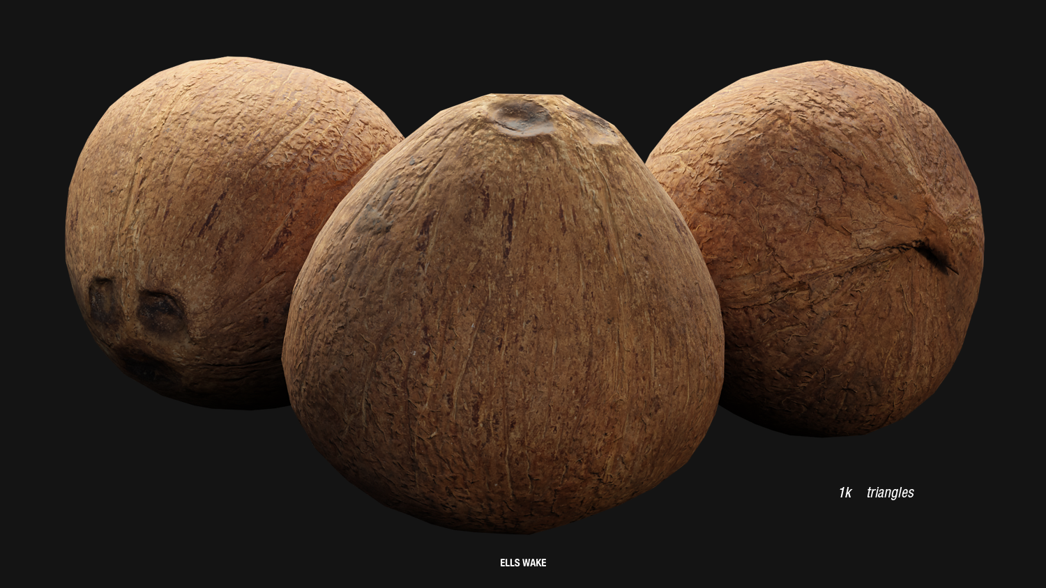 ELLS_WAKE_Coconuts_001_2.png