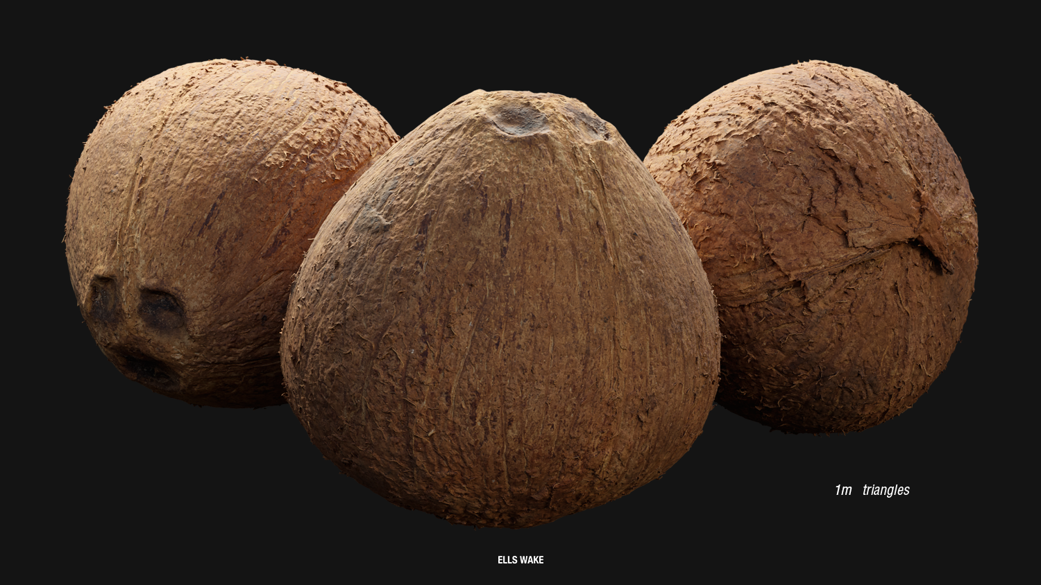 ELLS_WAKE_Coconuts_001_1.png