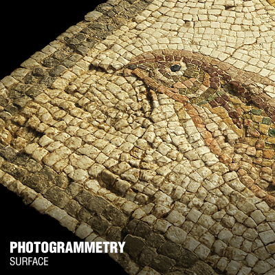 ELLS_WAKE_3DSCAN_ROMAN_MOSAIC_FLOOR.png