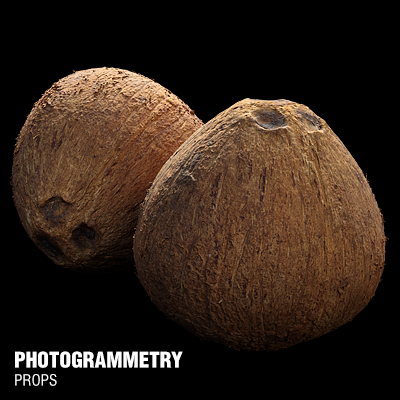 ELLS_WAKE_Coconut_C.png