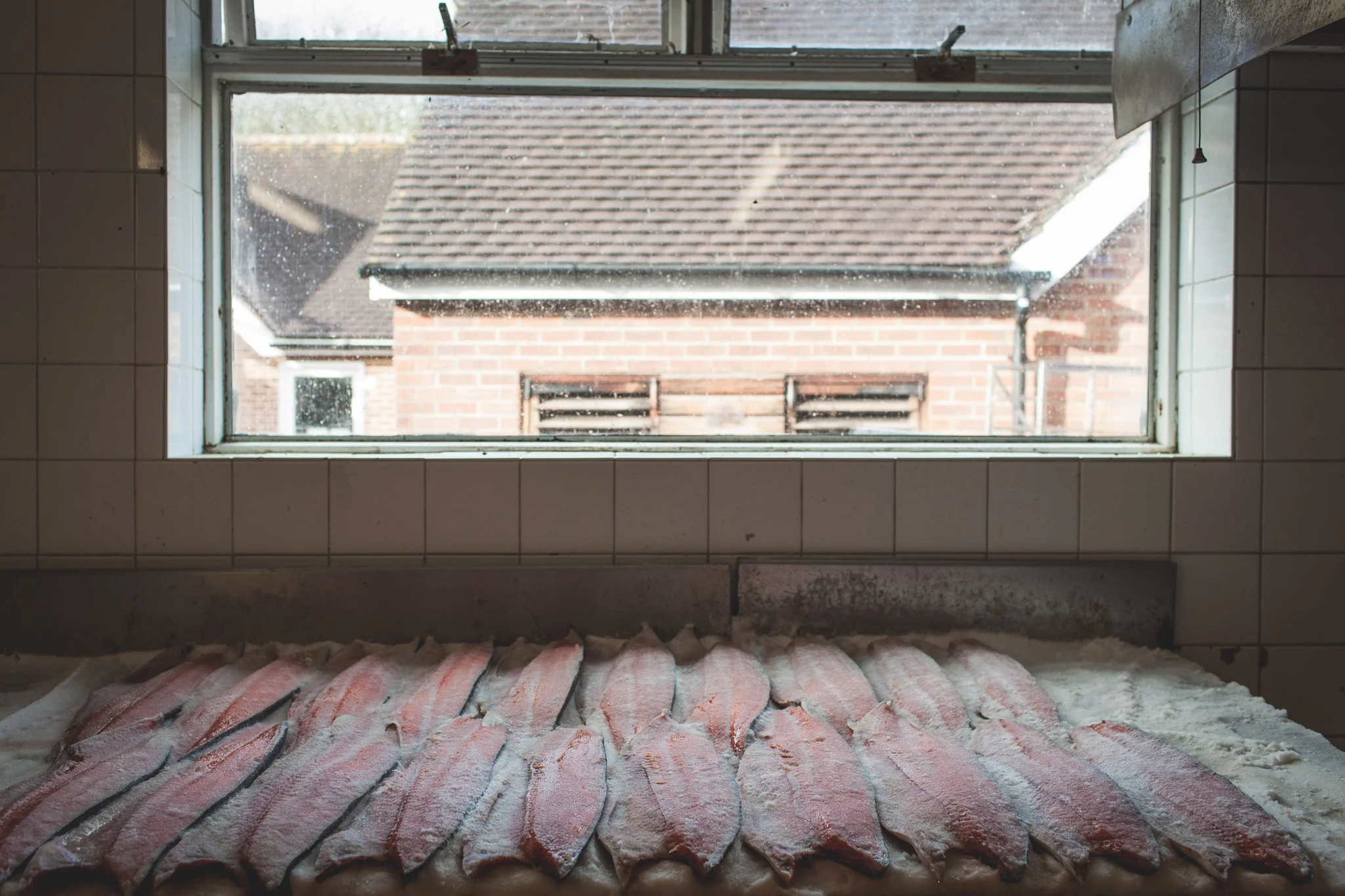 Springs Salmon - a traditional family run smoked salmon business in Sussex photographed by Emma Gutteridge for Retreat blog