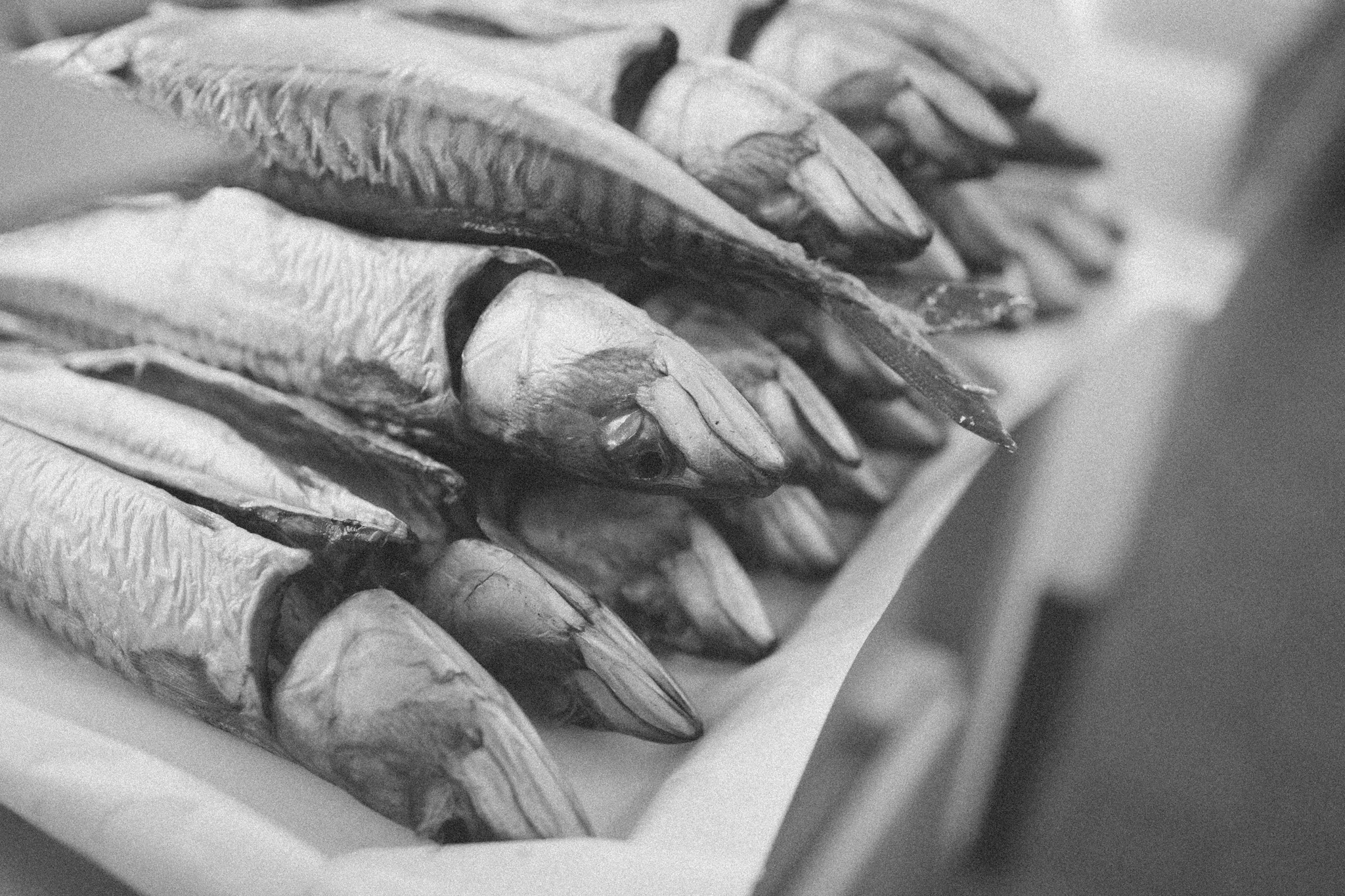 Springs Salmon - a traditional family run smoked salmon business in Sussex photographed by Emma Gutteridge for Retreat blog