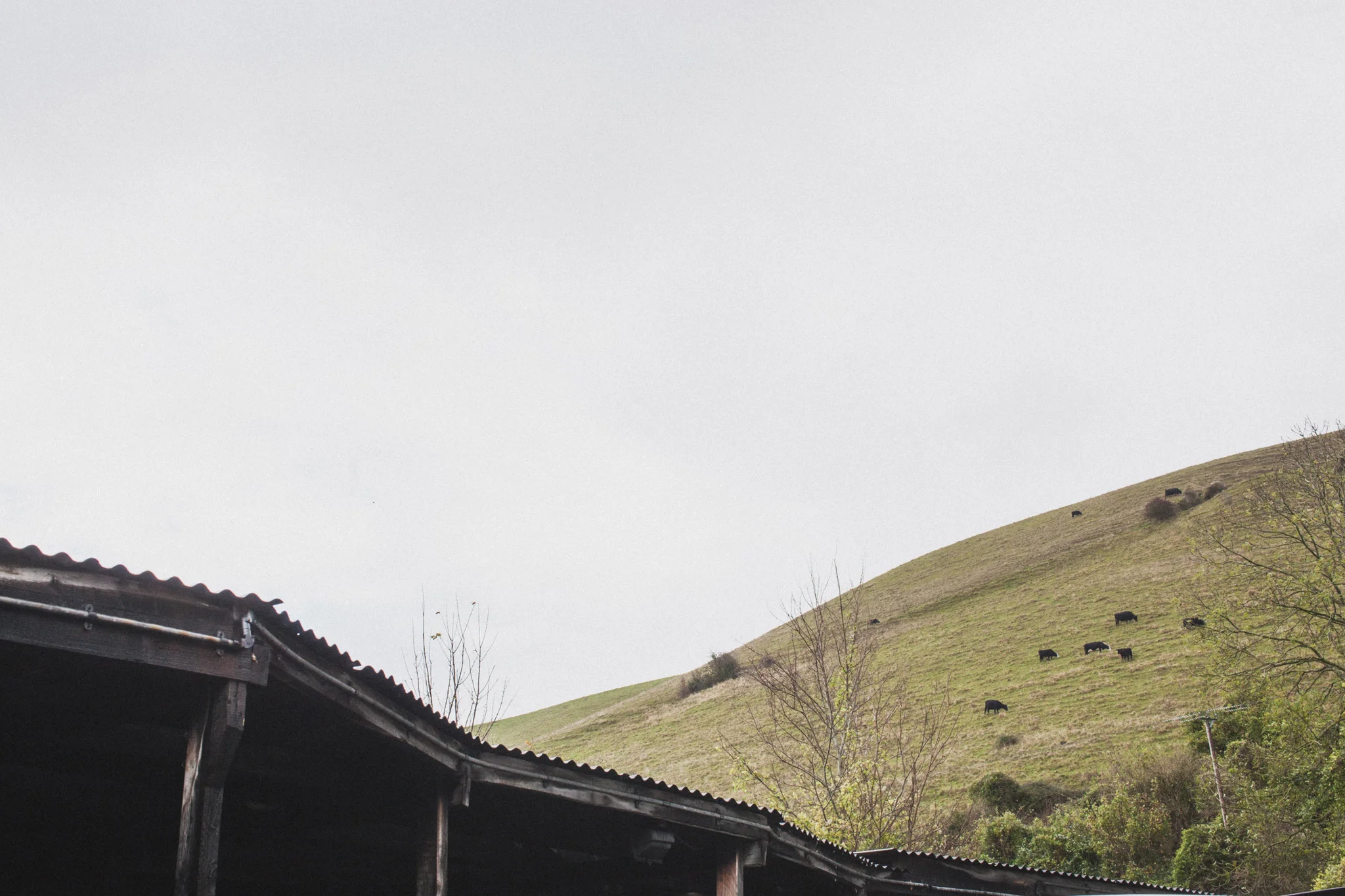 Springs Salmon - a traditional family run smoked salmon business in Sussex photographed by Emma Gutteridge for Retreat blog