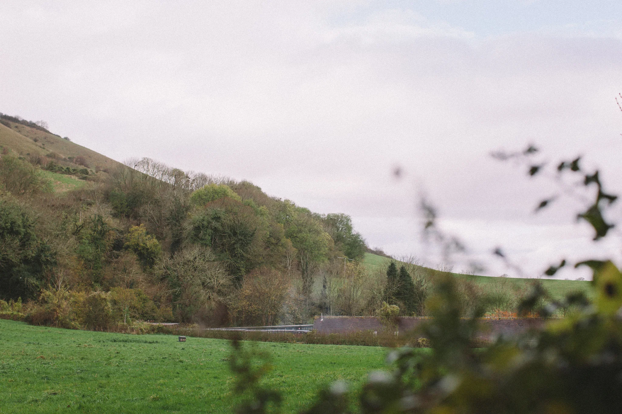 Springs Salmon - a traditional family run smoked salmon business in Sussex photographed by Emma Gutteridge for Retreat blog