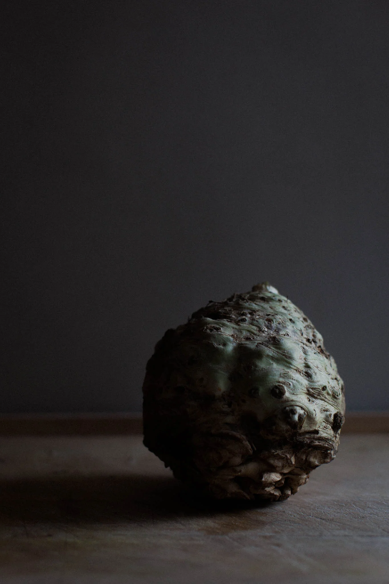 celeriac_low-2.jpg