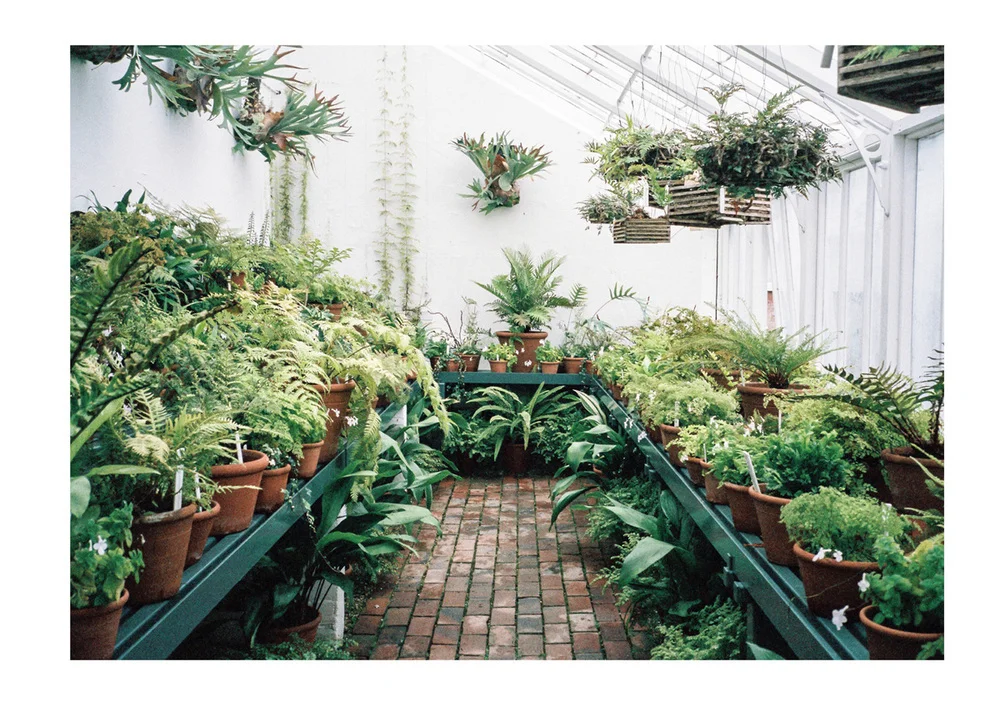 Photography wall art and prints from Dot & Fox. Retreat // a food and lifestyle blog.