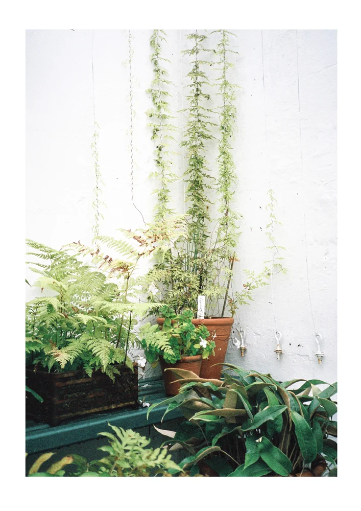 Photography wall art and prints from Dot & Fox. Retreat // a food and lifestyle blog.