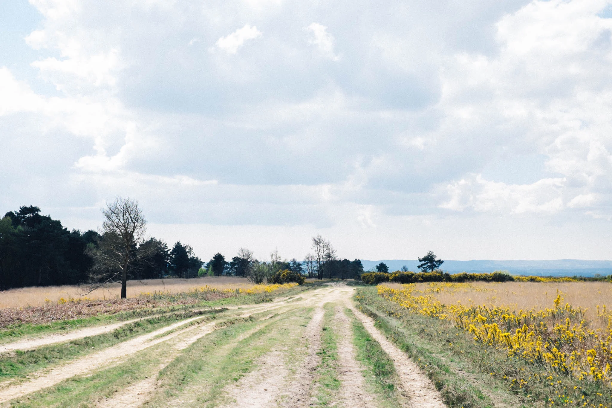 Sussex Walks - The Old Airstrip at Ashdown Forest. Photograhed by Emma Gutteridge for Retreat, a Sussex food and lifestyle blog. Photos taken on a Fuji XT1