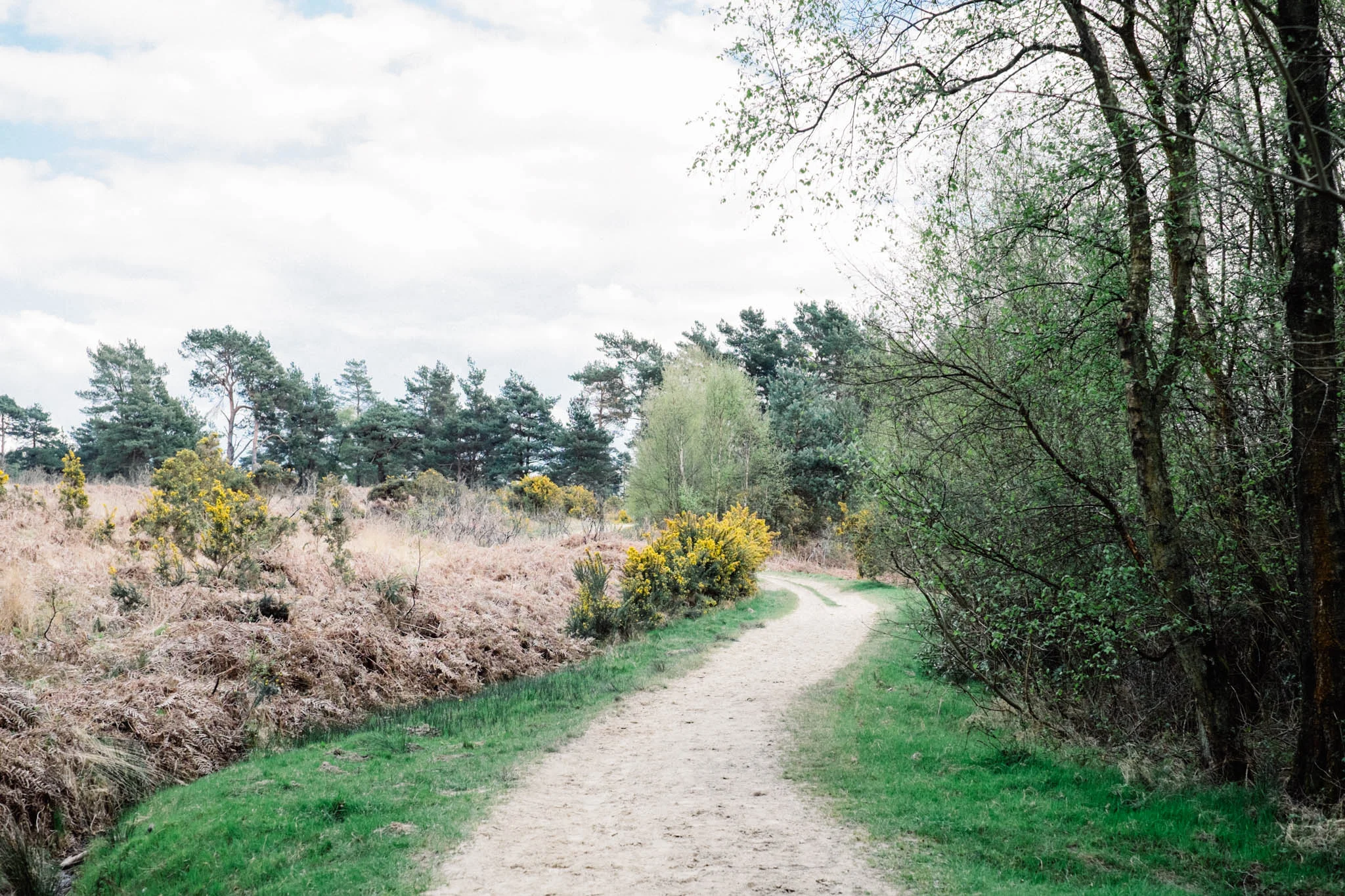 Sussex Walks - The Old Airstrip at Ashdown Forest. Photograhed by Emma Gutteridge for Retreat, a Sussex food and lifestyle blog. Photos taken on a Fuji XT1