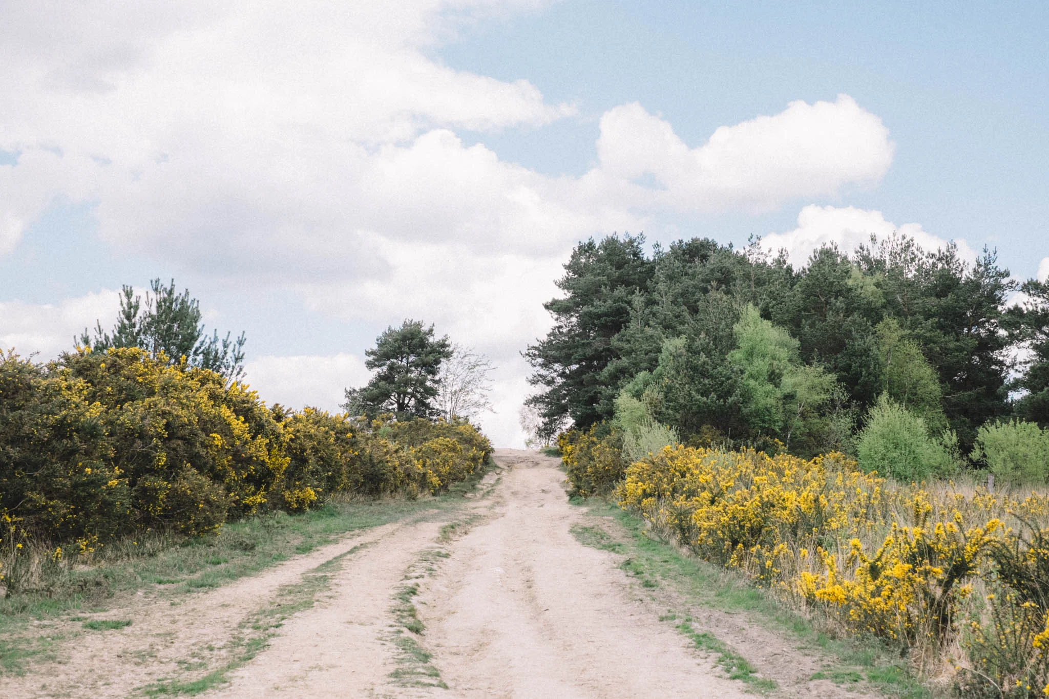 Sussex Walks - The Old Airstrip at Ashdown Forest. Photograhed by Emma Gutteridge for Retreat, a Sussex food and lifestyle blog. Photos taken on a Fuji XT1