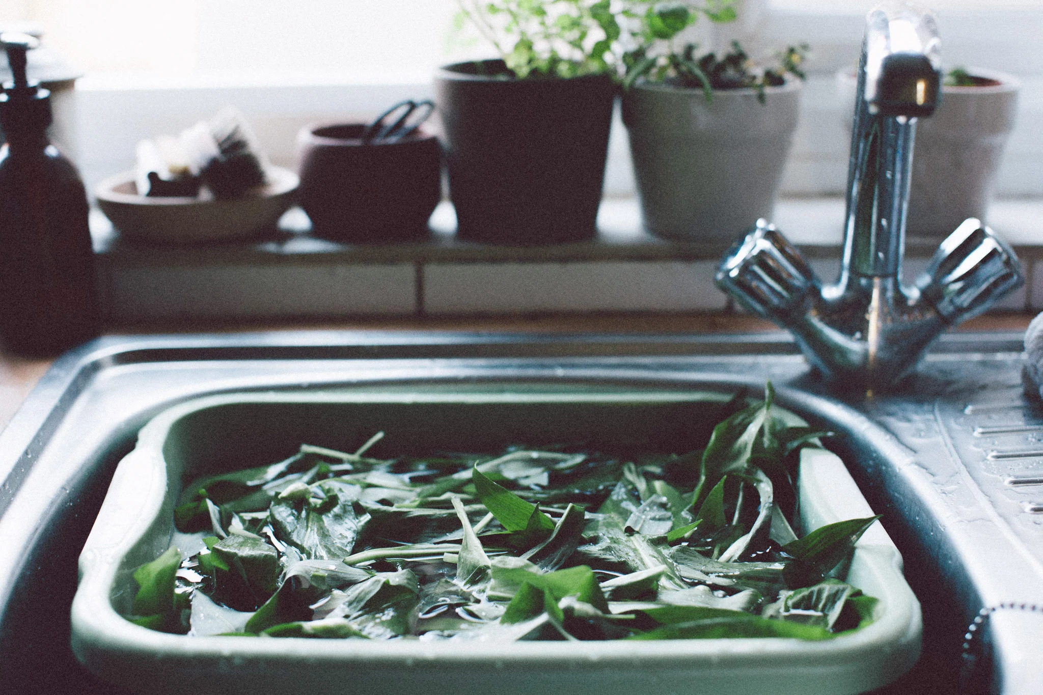 Wild garlic - what to do with it and where to find it in Sussex. Retreat // Food and lifestyle blog based in Sussex. Photography by Emma Gutteridge.