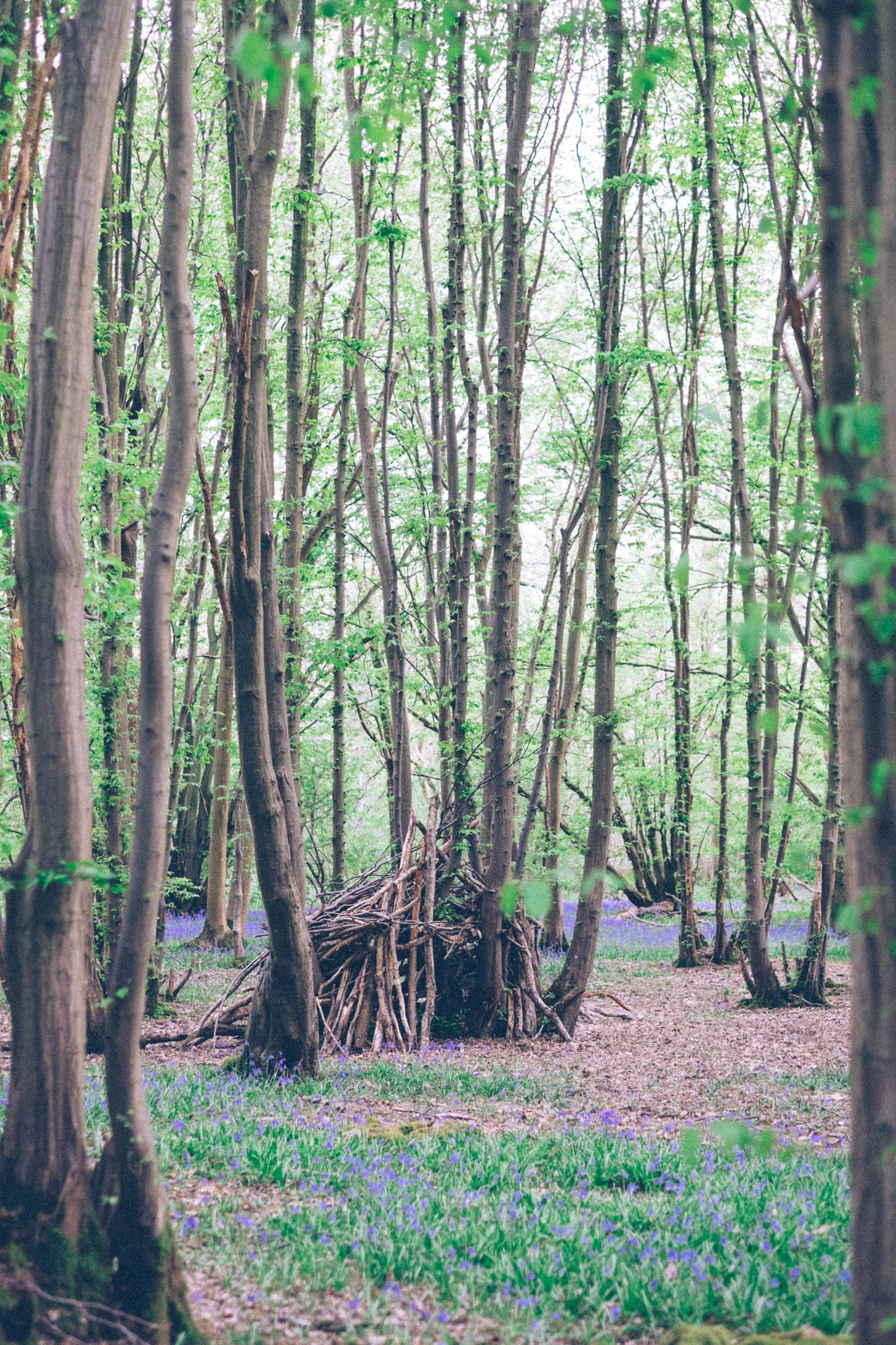 Blackbrook wood near Ditchling, East Sussex. Bluebell woods East Sussex. Sussex walks. Photography by Emma Gutteridge. Retreat // a food and lifestyle blog born in Sussex.