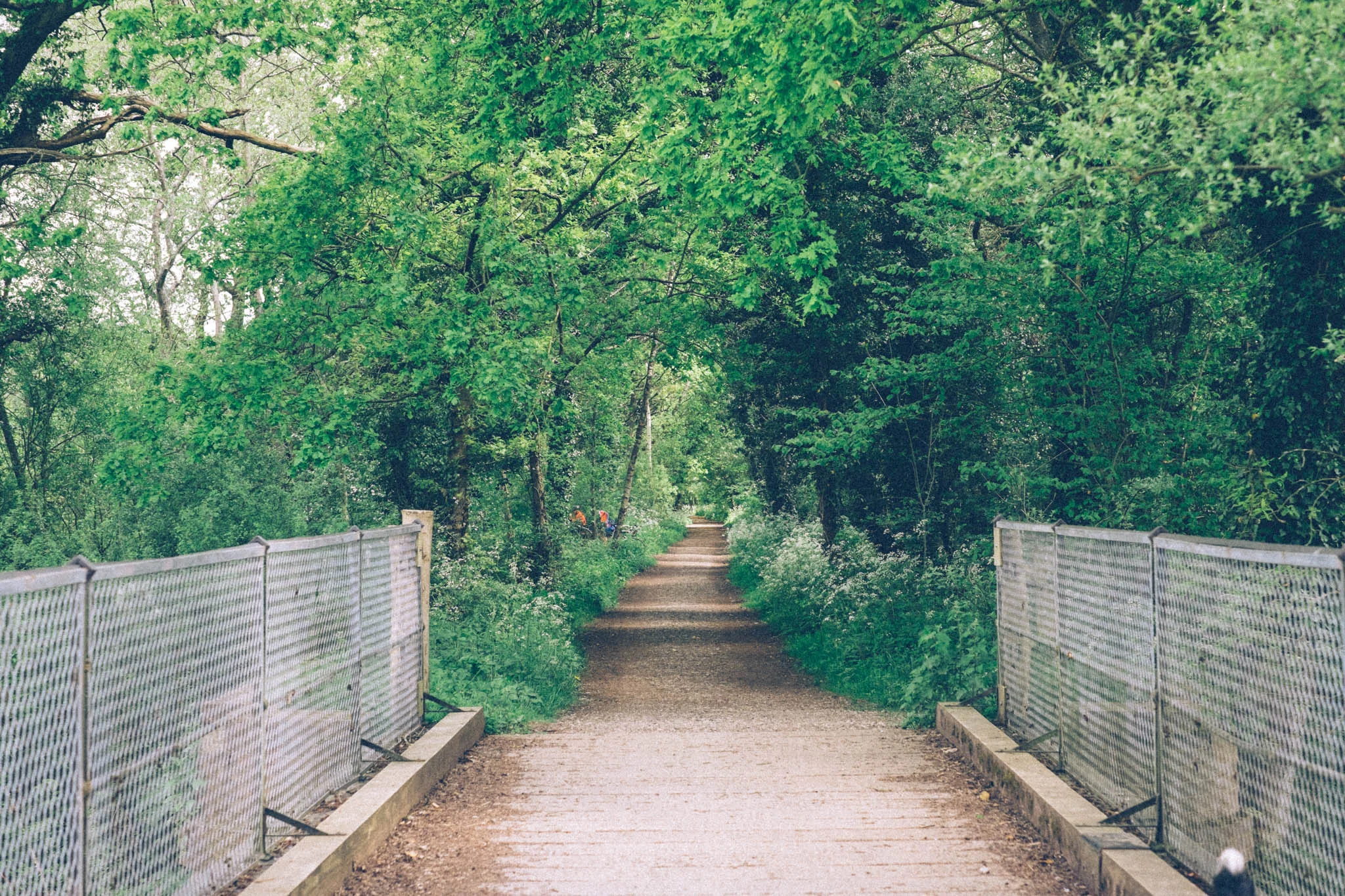 Forest Way off road bike ride. Photography by Emma Gutteridge for Retreat blog.