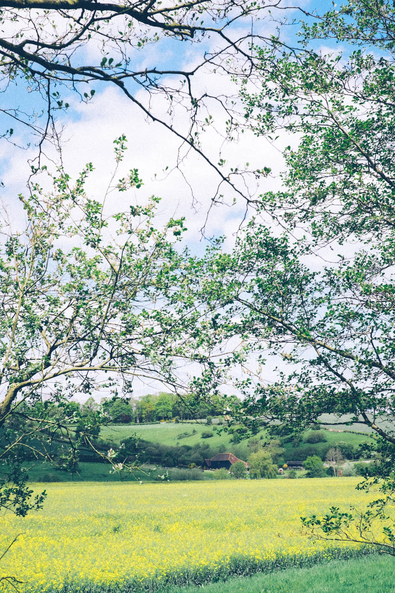 Forest Way off road bike ride. Photography by Emma Gutteridge for Retreat blog.