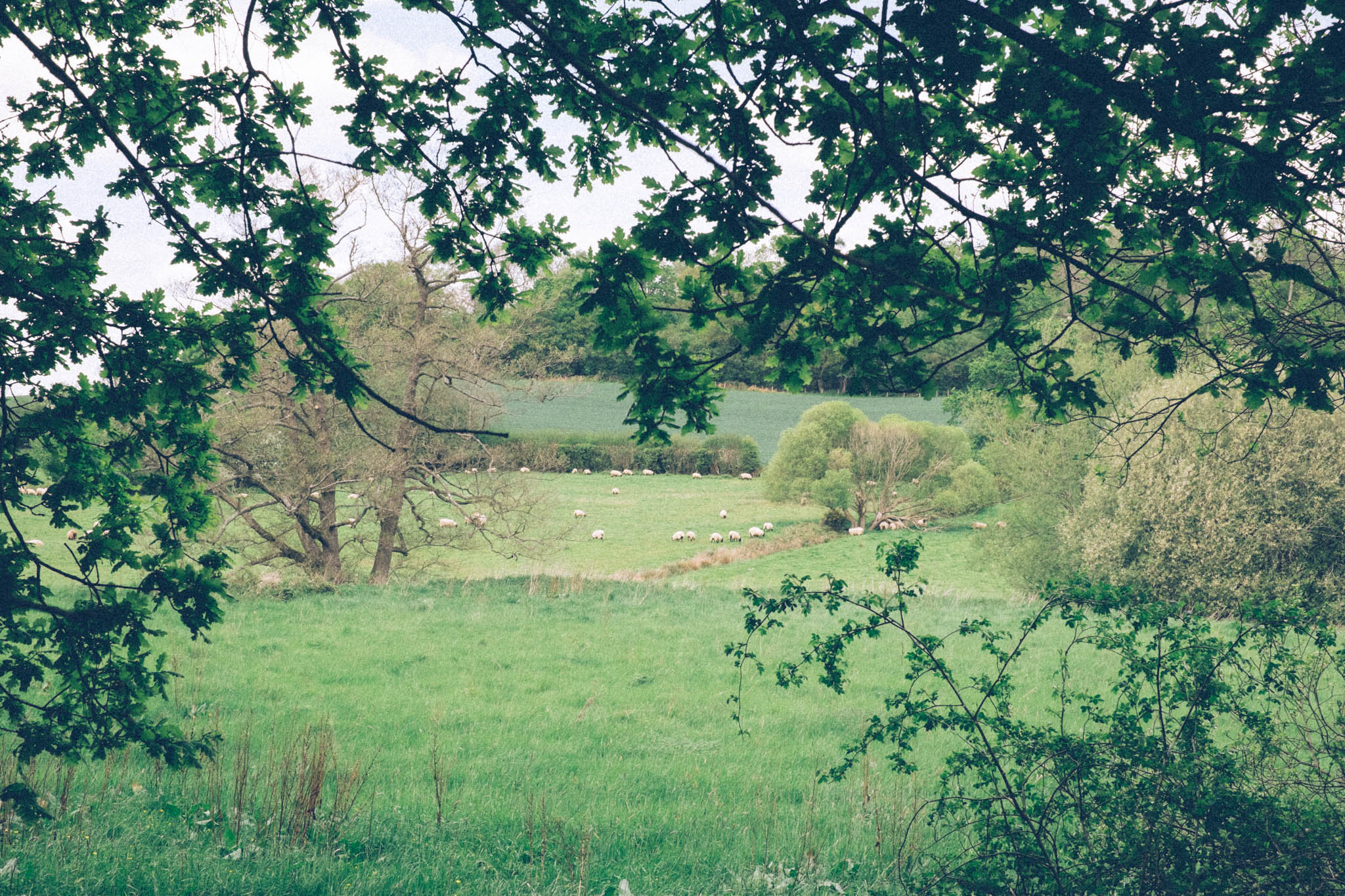 Forest Way off road bike ride. Photography by Emma Gutteridge for Retreat blog.