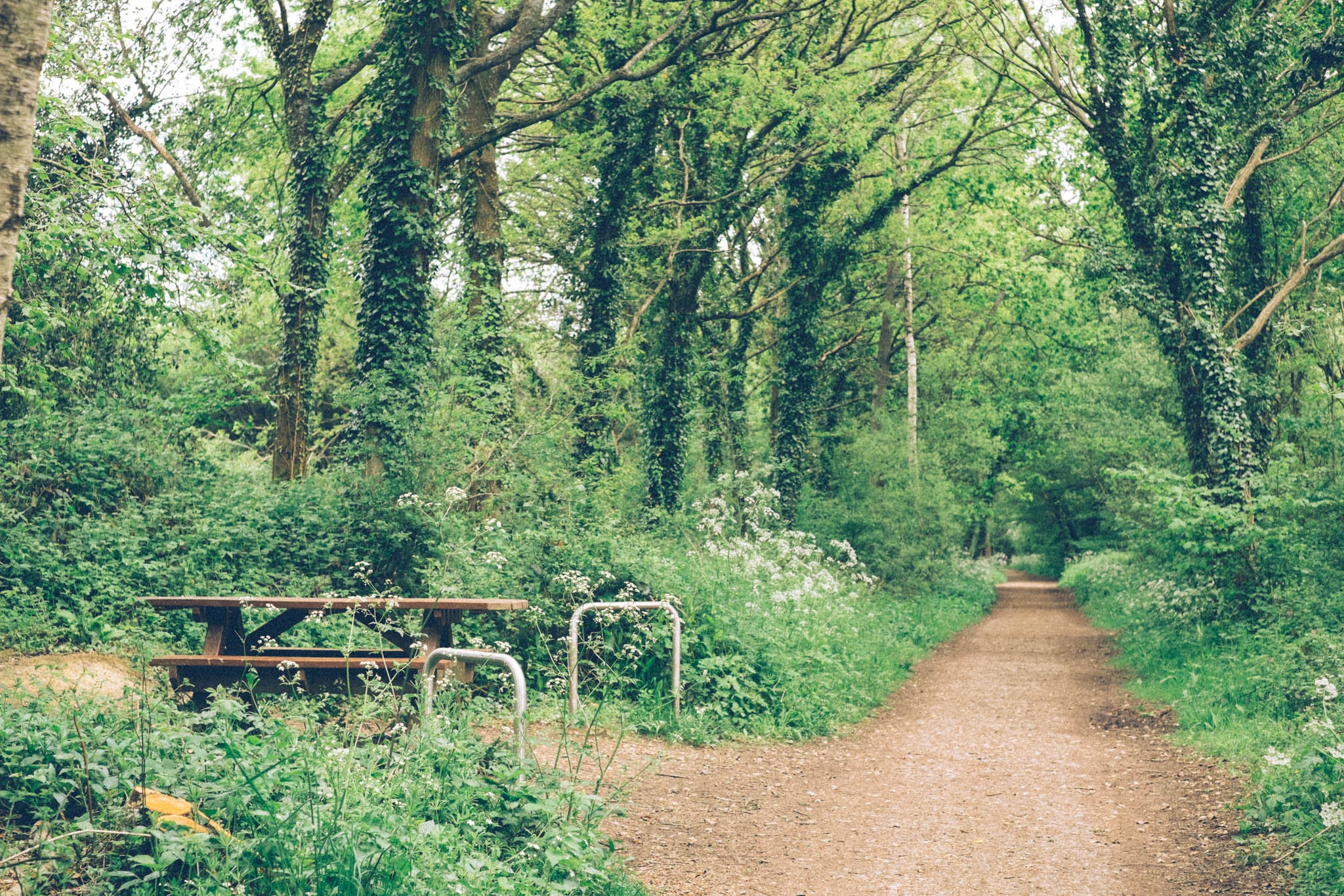 Forest Way off road bike ride. Photography by Emma Gutteridge for Retreat blog.