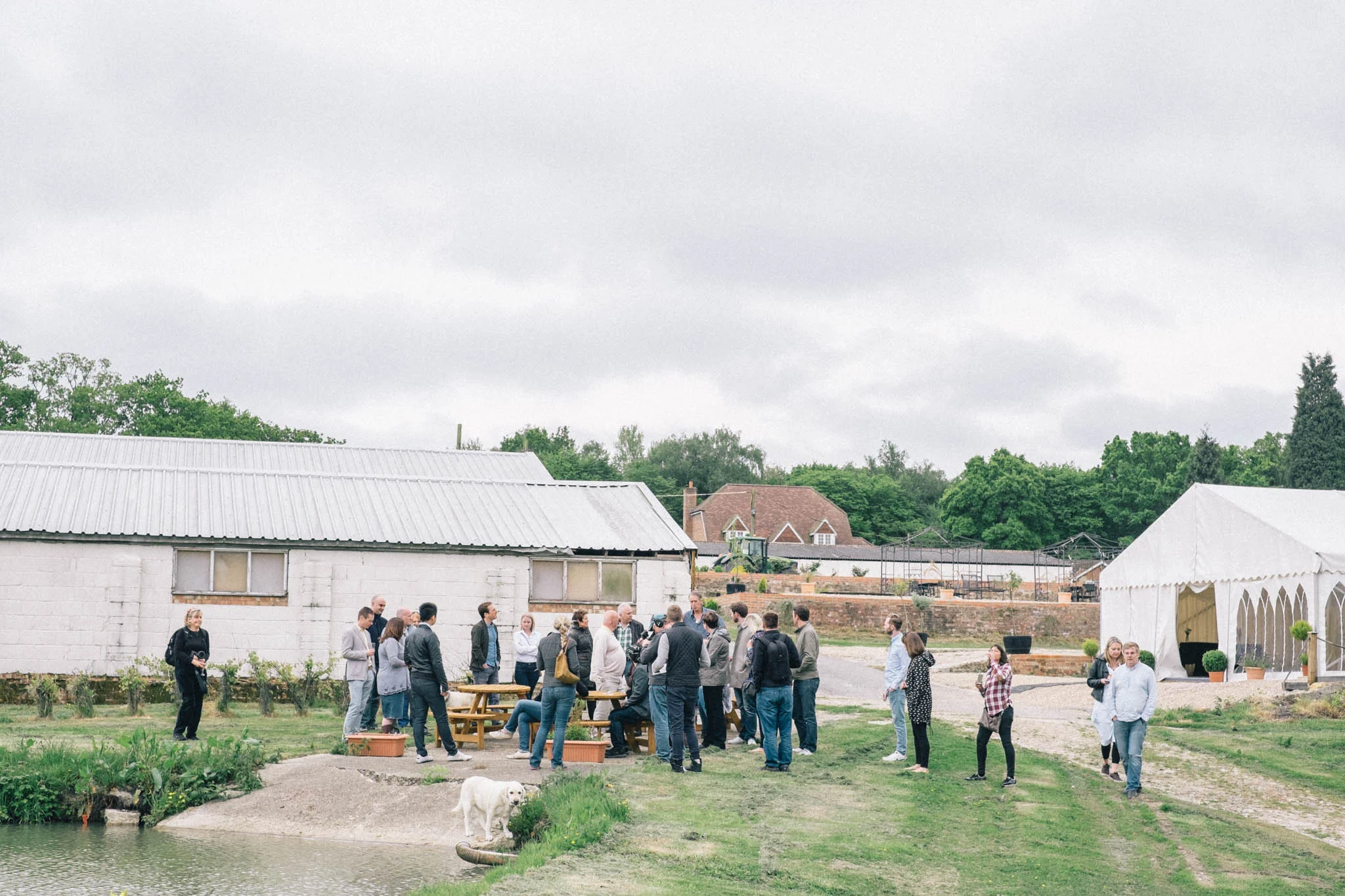 Sussex wine and vineyard bus tour by Brighton Food Festival. Photography by Emma Gutteridge for Retreat blog.