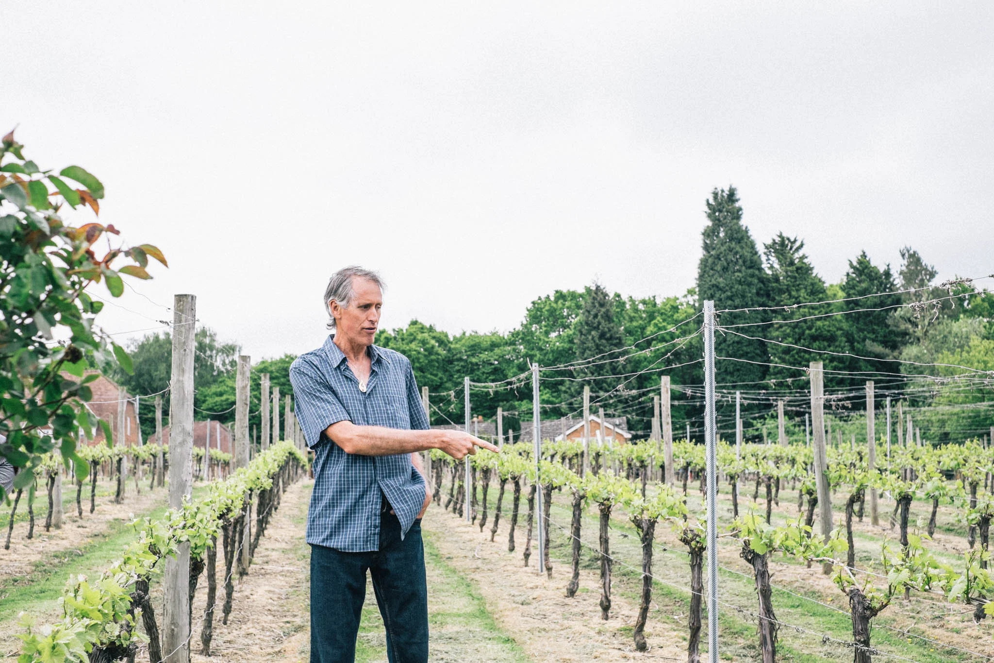 Sussex wine and vineyard bus tour by Brighton Food Festival. Photography by Emma Gutteridge for Retreat blog.