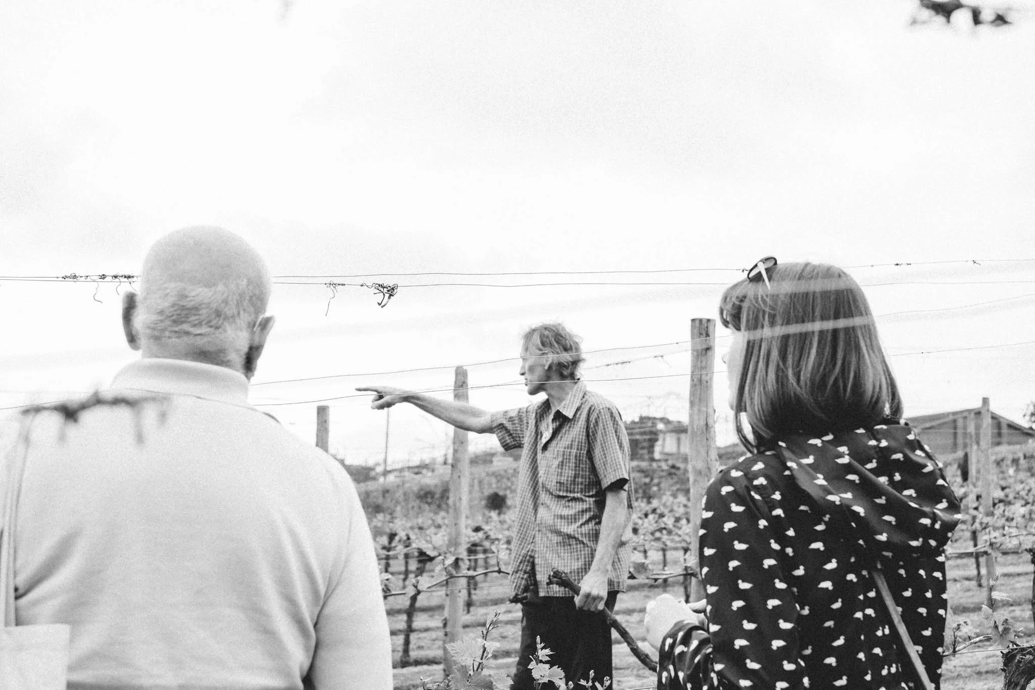 Sussex wine and vineyard bus tour by Brighton Food Festival. Photography by Emma Gutteridge for Retreat blog.
