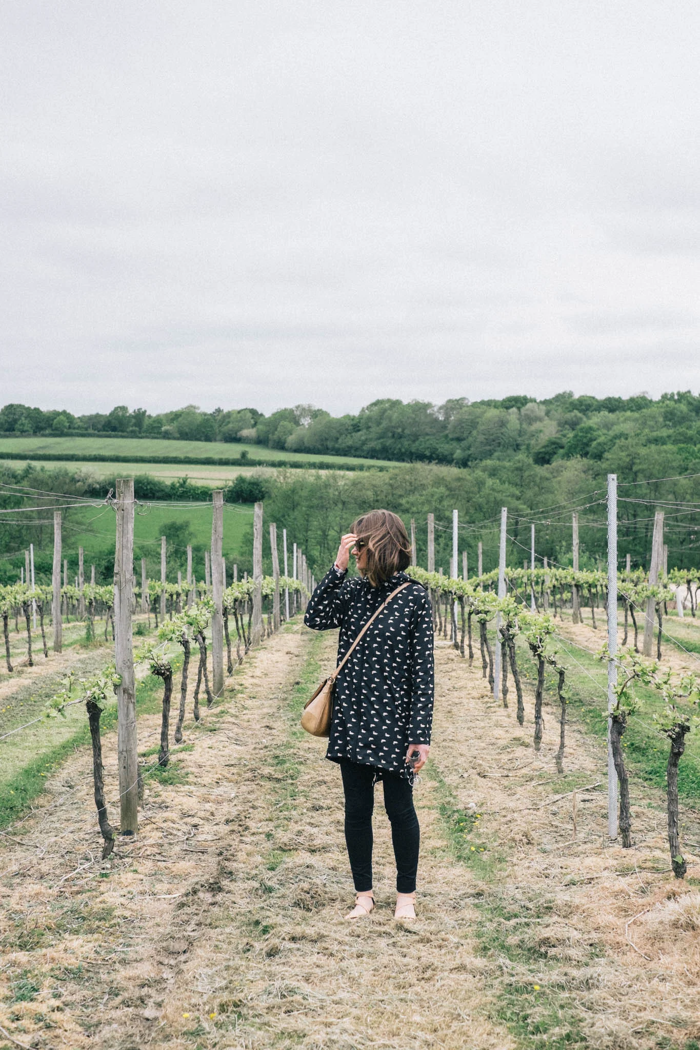 Sussex wine and vineyard bus tour by Brighton Food Festival. Photography by Emma Gutteridge for Retreat blog.