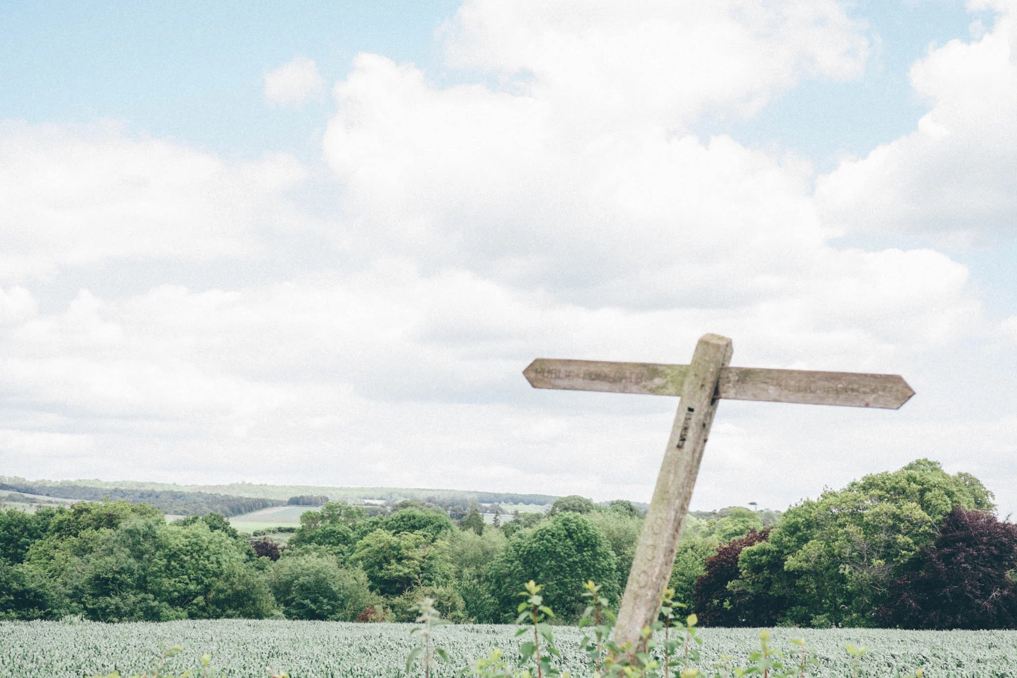 Places to Eat Near Chichester. The Earl of March - a traditional country pub offering fine food located near Goodwood. Photography by Emma Gutteridge for Retreat blog.