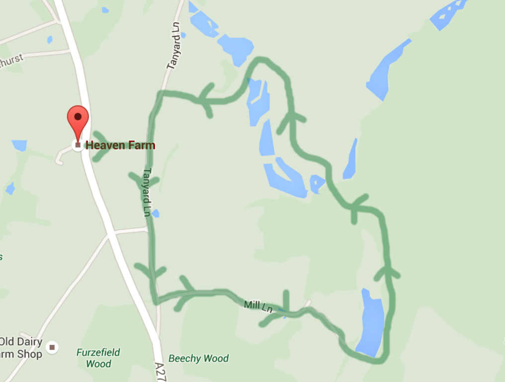 sheffield_forest_map_route