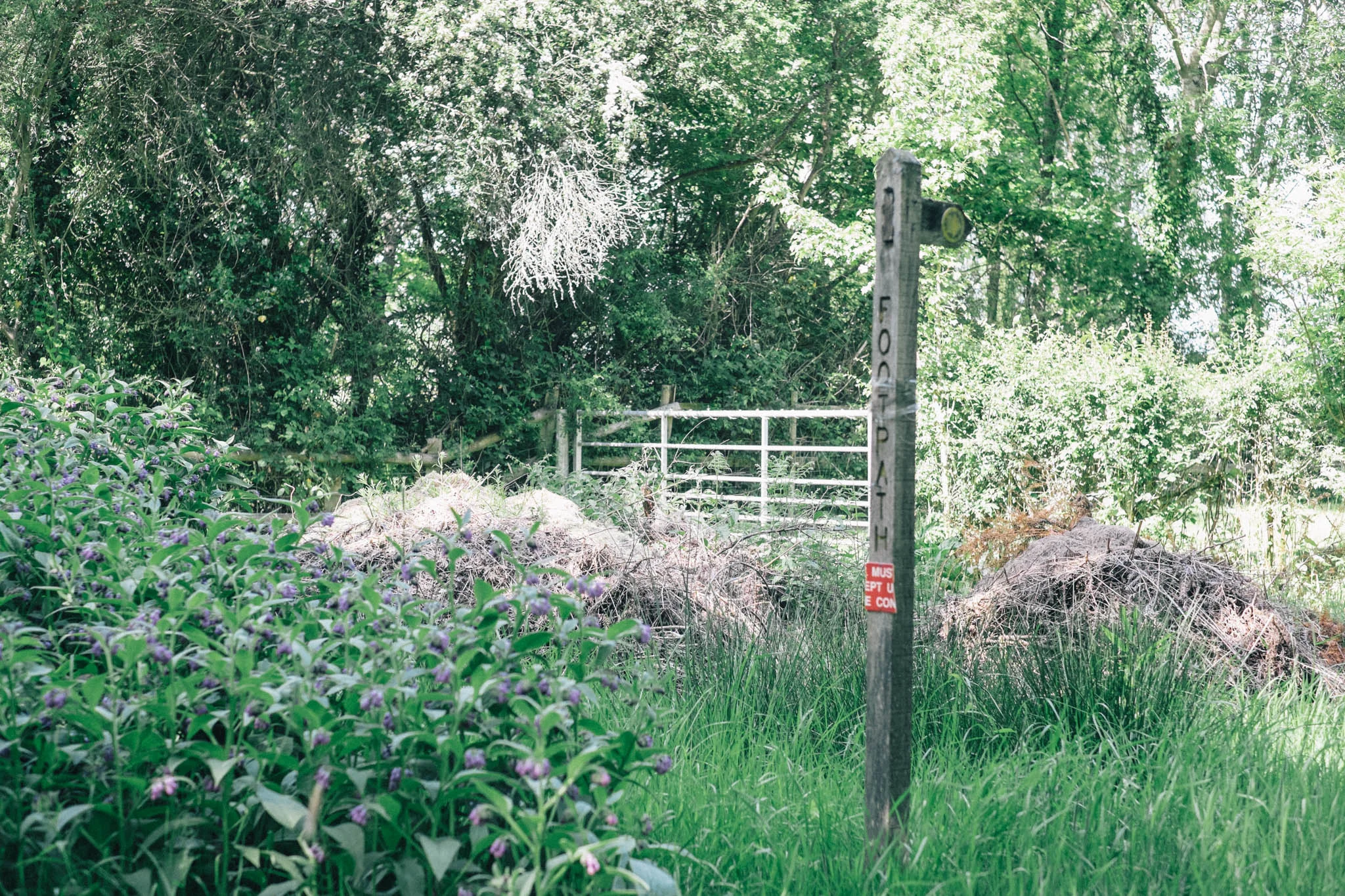Photography by Emma Gutteridge for Retreat blog.