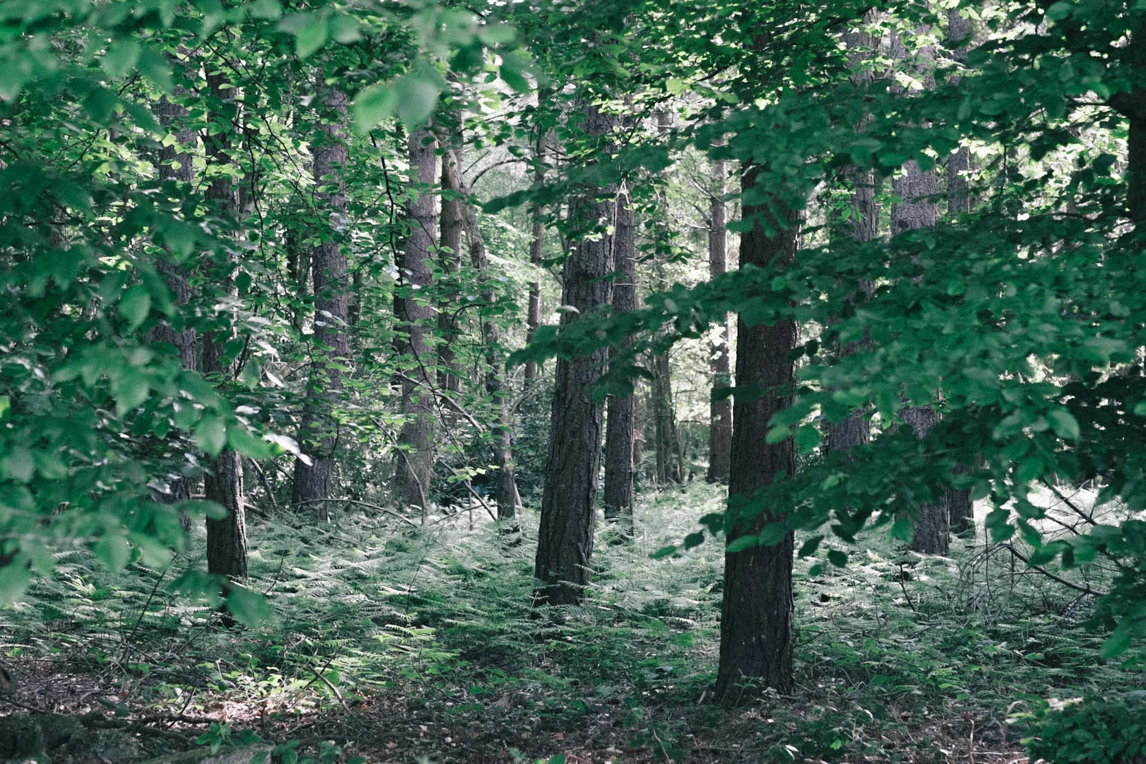 Photography by Emma Gutteridge for Retreat blog.
