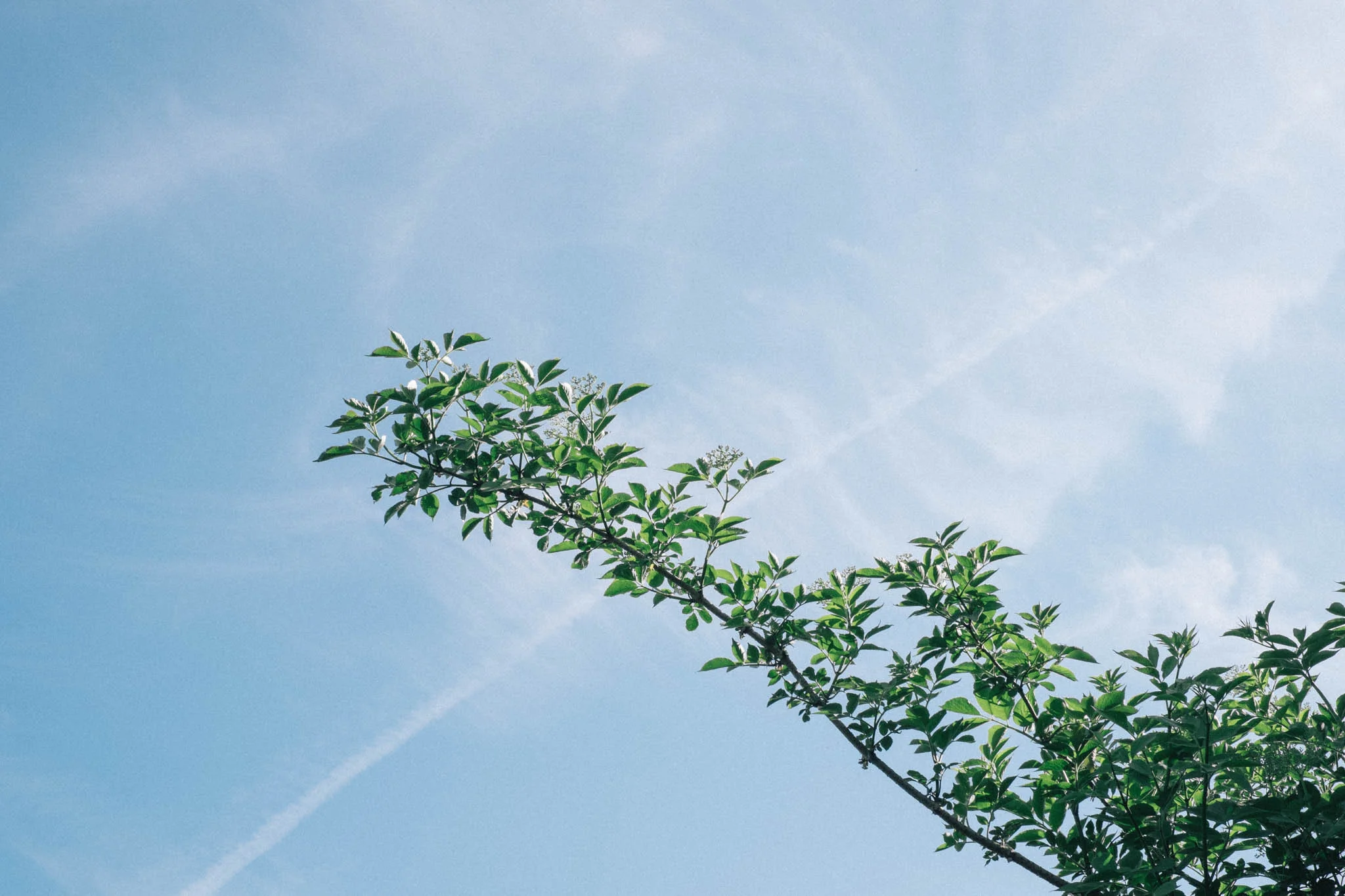 Photography by Emma Gutteridge for Retreat blog.