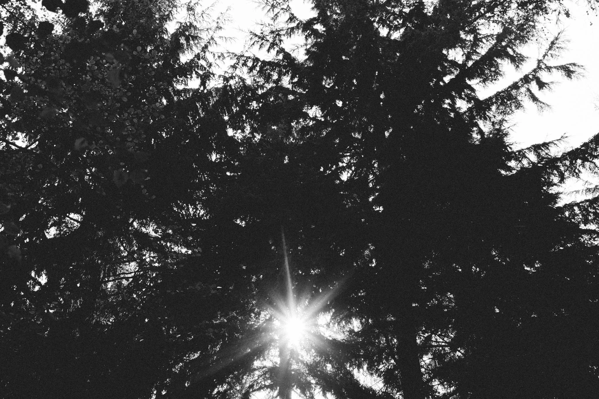 Sussex walks - Sheffield Forest circular on Retreat - a food and lifestyle blog for busy people. Photography by Emma Gutteridge for Retreat blog.
