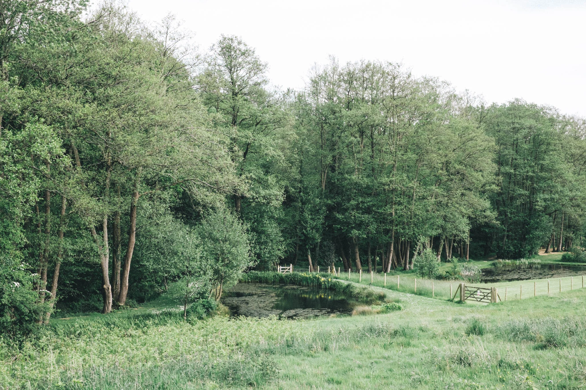 Sussex walks - Sheffield Forest circular on Retreat - a food and lifestyle blog for busy people. Photography by Emma Gutteridge for Retreat blog.