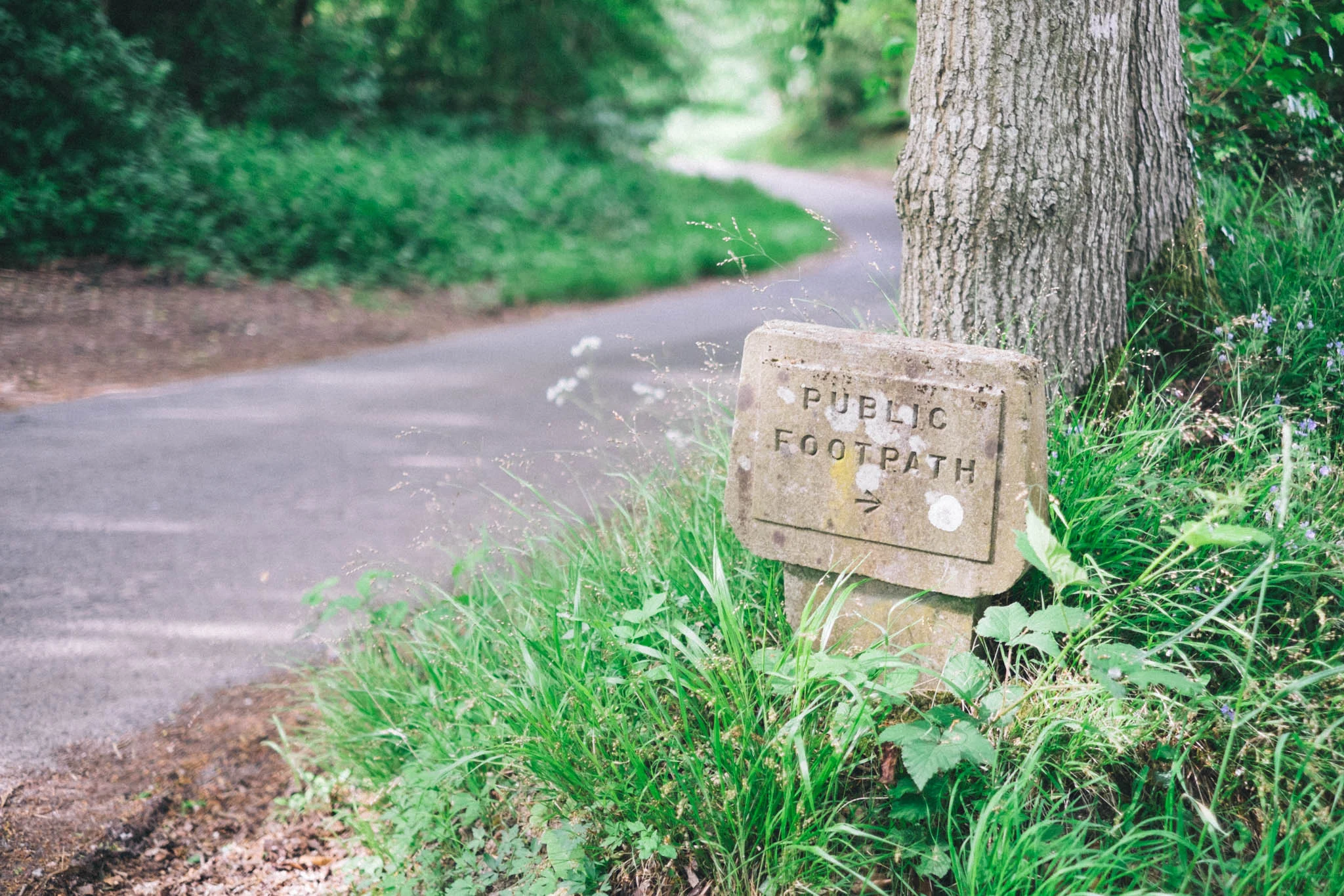 Sussex walks - Sheffield Forest circular on Retreat - a food and lifestyle blog for busy people. Photography by Emma Gutteridge for Retreat blog.