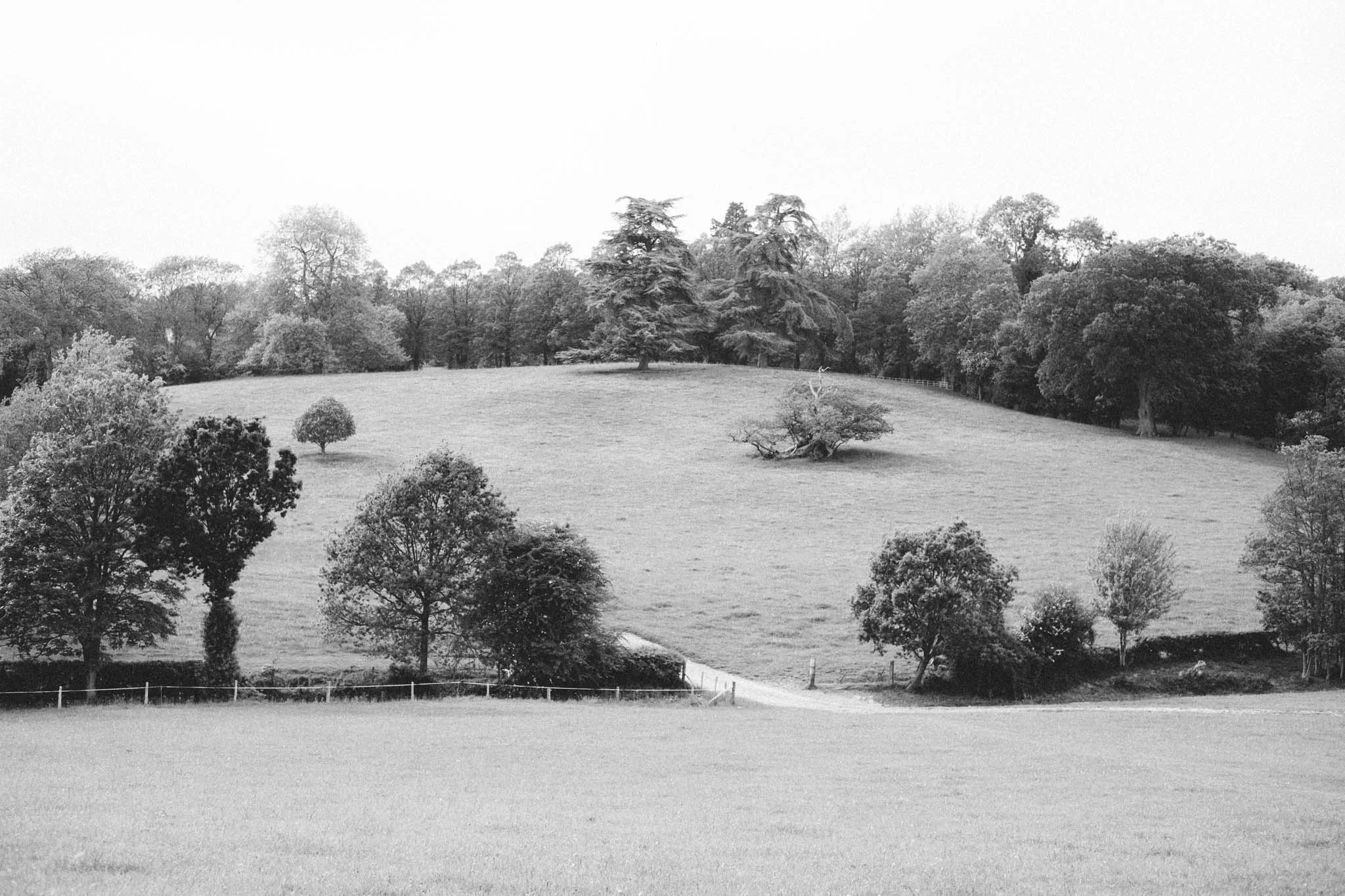 Sussex walks - Sheffield Forest circular on Retreat - a food and lifestyle blog for busy people. Photography by Emma Gutteridge for Retreat blog.