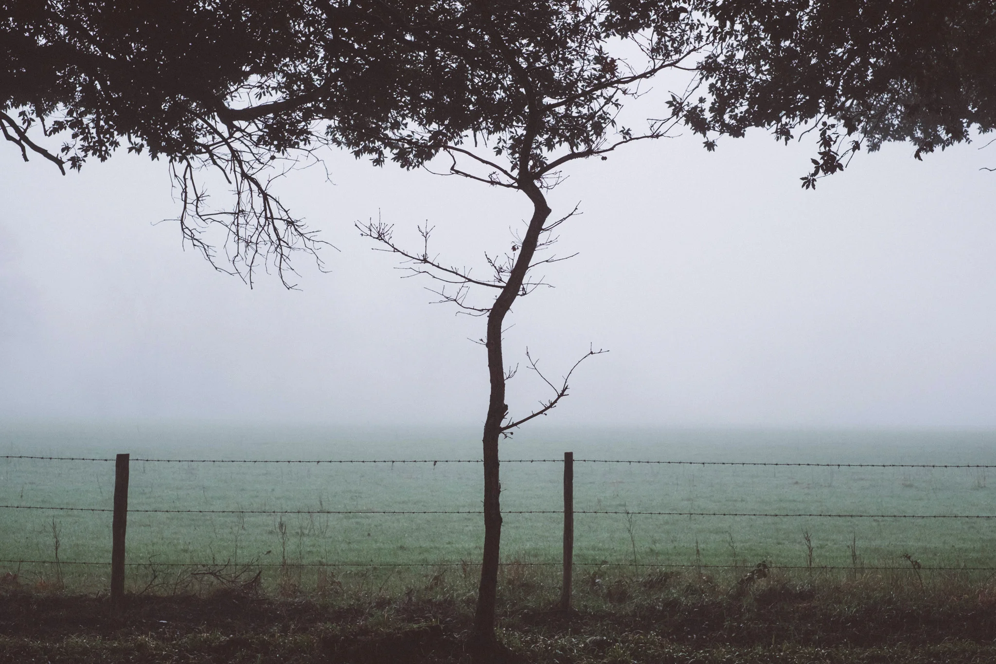 Mist in Sussex 2016. Photography by Sussex photographer Emma Gutteridge
