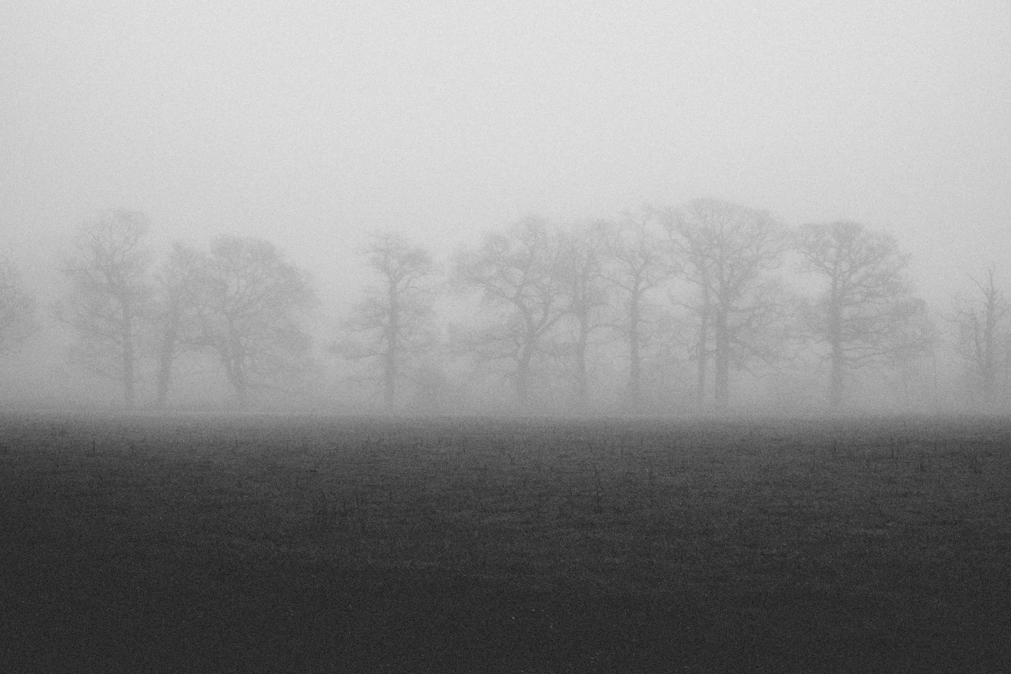 Mist in Sussex 2016. Photography by Sussex photographer Emma Gutteridge